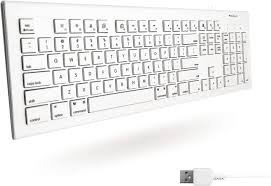 Macally Full Size USB Wired Keyboard for Mac and PC